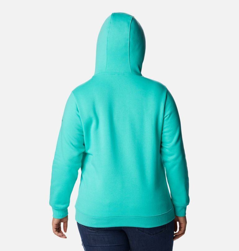 Women's Columbia Logo Hoodie Turquoise | Plus Size CA-FA43C